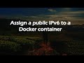 Assign a public IPv6 to a Docker container
