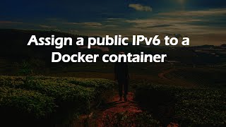 Assign a public IPv6 to a Docker container