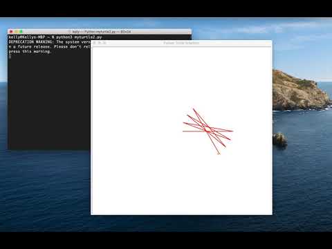 Python Turtle Graphics 2