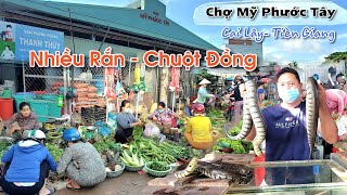 Bắt gặp rắn to, chuột đồng miền tây - chợ Mỹ Phước Tây ở TX Cai Lậy Tiền Giang