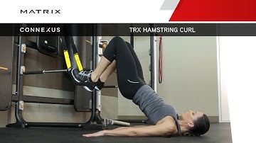 Connexus - TRX Hamstring Curl