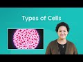 Cell Types and Their Unique Features in Biology