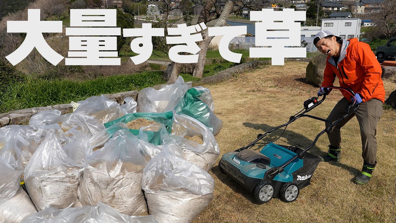 二千坪別荘で芝生のサッチング作業が重労働すぎる件