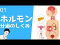 ① ホルモン分泌、ポジティブ、ネガティブフィードバックについて【看護、薬学生向け】