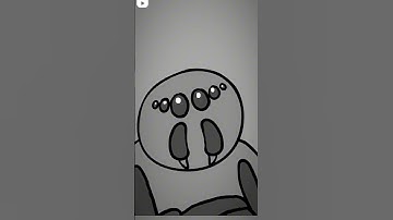 Thumbnail of The incredible mosquito song