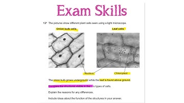 OCR Gateway A (9-1) Daily Booster - Day 13