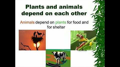 Class 5th Science      Interdependence in Living Beings -Plants and Animals