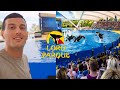 Loro parque tenerife 2024 everything you need to know