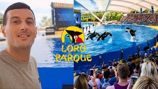 Loro Parque Tenerife 2024 EVERYTHING YOU NEED TO KNOW!