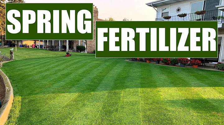 Don't make this FERTILIZER MISTAKE // Spring Lawn ...
