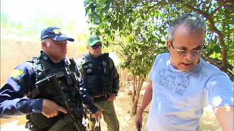 Como ONG protege os animais dos traficantes?