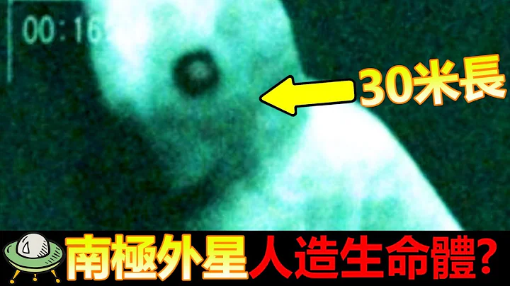3个南极发现的海怪! 它是外星人造生命体? - 天天要闻