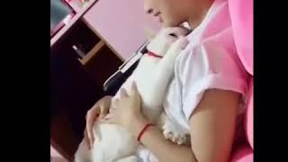 Смешное и милое видео с животными 2018 Смешное и милое видео с животными 2018