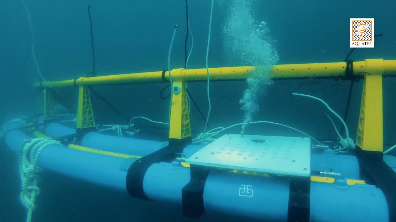 Offshore Submersible Cage - Aquaculture Technology Innovation by