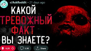 Какой Тревожный Факт Вы Знаете? #3