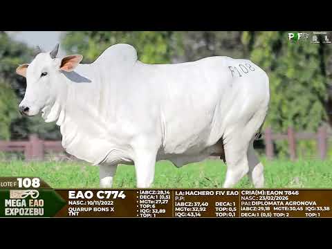 LOTE F108