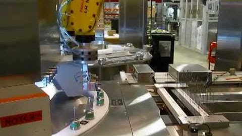 Robotic Part Handling & Vision Inspection