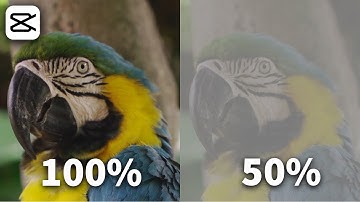 How to Change OPACITY in CapCut PC