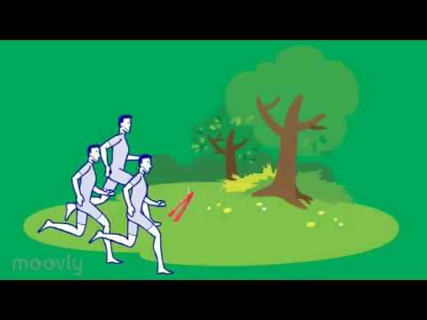 Capsule vidéo EPS: Course d'orientation séance 4