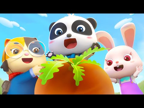 Let's Pull out the Big Carrot | for Kids | Nursery Rhymes | Kids Songs | Panda Cartoon | BabyBus