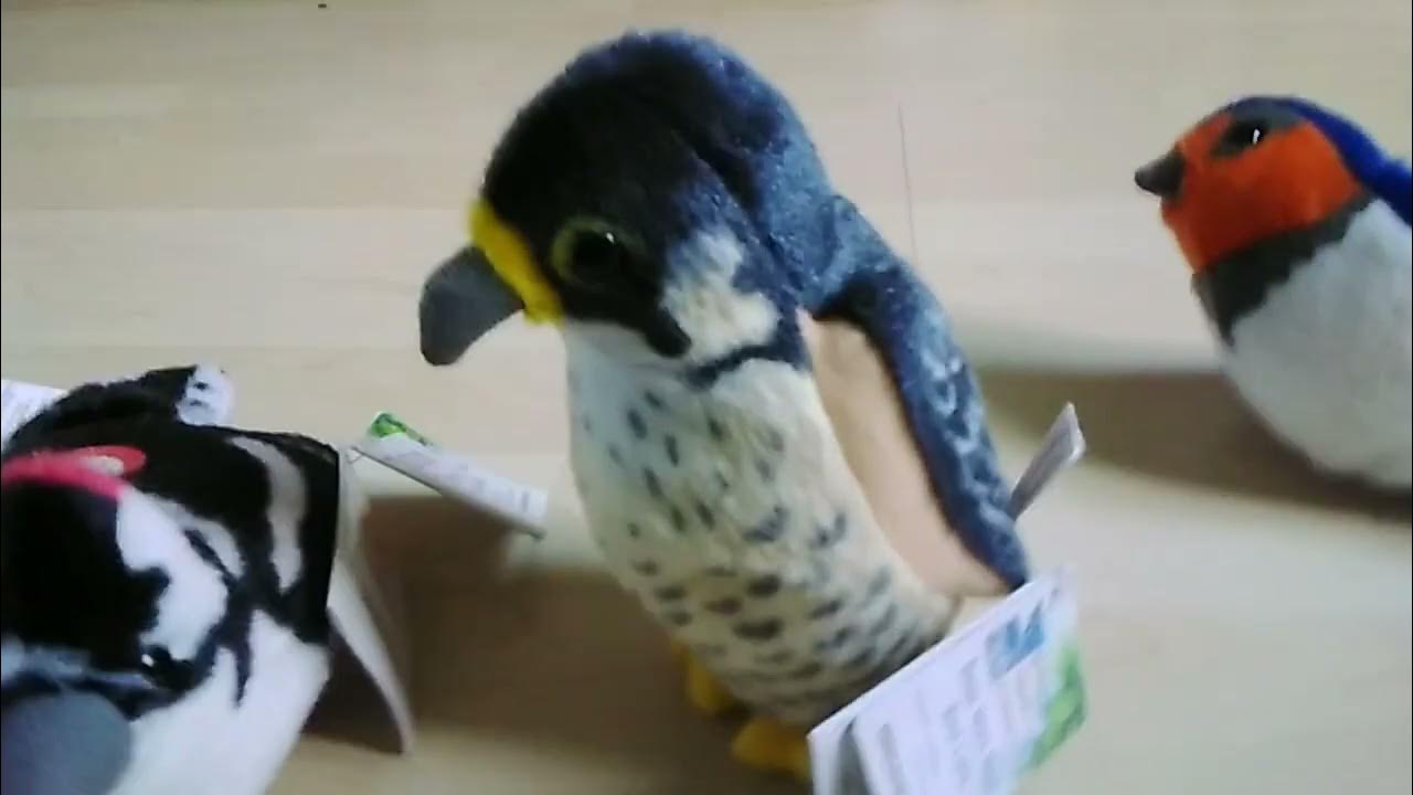 RSPB Birds with real bird calls - YouTube