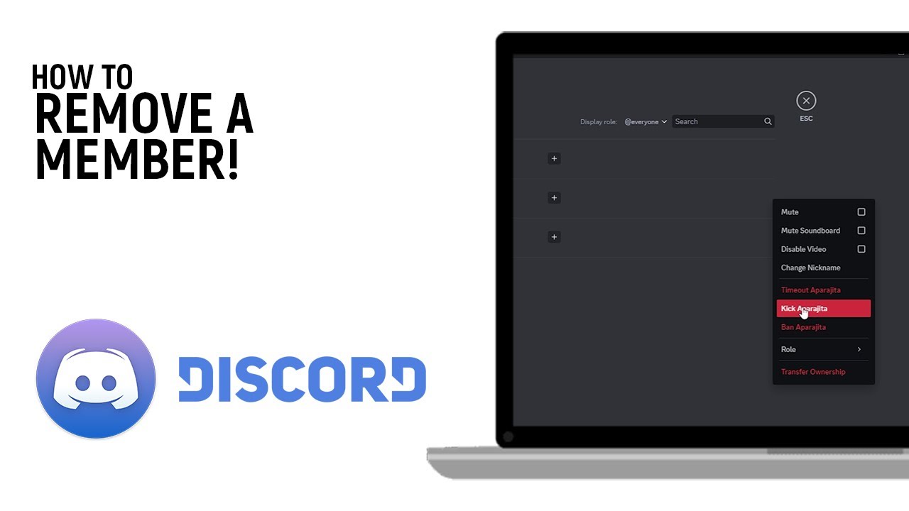 Como Remover Membros Inativos – Discord