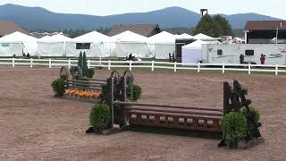 Video Of Beckham Jr Ridden By Emily Gilbert From Shownet