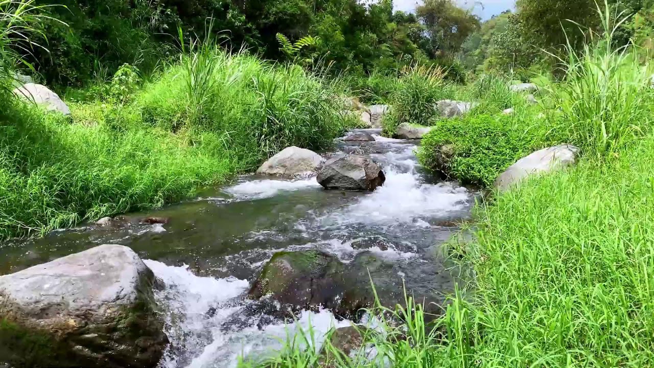 Tranquil River Flow – 10 Hours of Water ASMR  - Stress, Anxiety Relief & Meditation Sounds