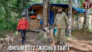 видео: Обычные будни семьи живущей в тайге Приполярного Урала. Правильная пища таежника - рыбные блюда. 27с картинка: Обычные будни семьи живущей в тайге Приполярного Урала. Правильная пища таежника - рыбные блюда. 27с