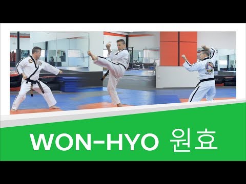 Won-Hyo 원효 | Green Belt Taekwondo America Form