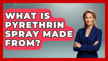 What Is Pyrethrin Spray Made From? - Insects and Invaders