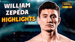 William Zepeda HIGHLIGHTS & KNOCKOUTS | BOXING K.O FIGHT HD