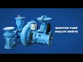 The pulse - Sensor 3D animation