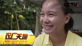 《农广天地》农妇九妹的财富传奇 20181017 | CCTV农业