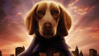 Underdog | Full Movie Story Explained | Jason Lee | Peter Dinklage