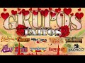 Grupos Románticos Del Recuerdo - Temerarios, Bronco, Bryndis, Liberacion, Grupo Samuray y más