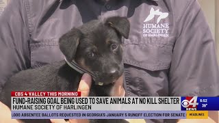Humane Society of Harlingen on a life saving mission