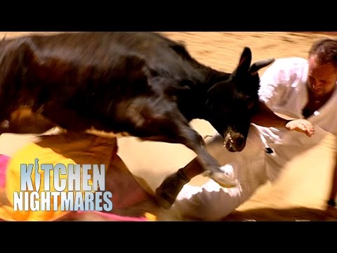Gordon Ramsay S Food Is Flooded With Oil Kitchen Nightmares Gordon Ramsay S Food Is Flooded With Oil Kitchen Nightmares
