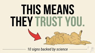 Psychology of Dogs 10 Signs Your Dog Secretly Trusts You
