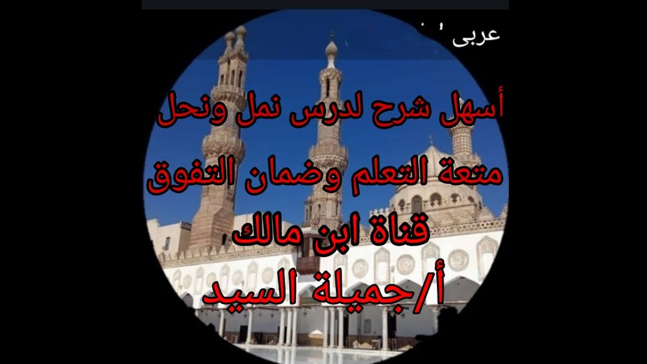 نمل ونحل. مطالعة تانيه ثانوي أزهر ترم تانى أ/جميلة السيد قناة ابن مالك