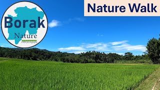 Borak Nature 14# Nature Walk-Rice Field, Hill, Creek | Nature sound-Bird, Insect | GoPro8