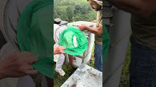 Mutlu Arici Zi̇yaretleri̇ 26-27-28-29 Gi̇resun Ankara Kirikkale İrfan Nacak