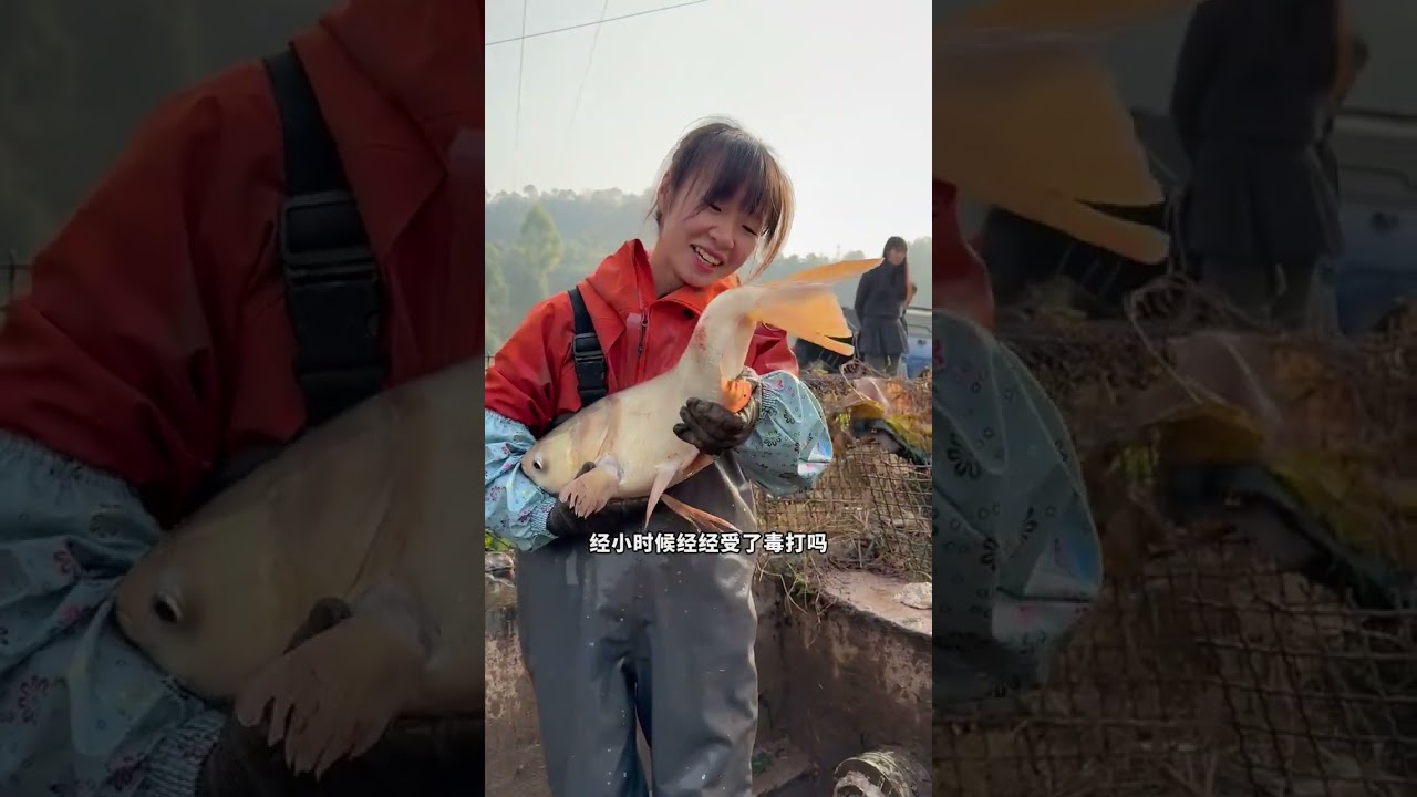 Pulling a net in a fish pond that an uncle has raised for two years how many big goods can