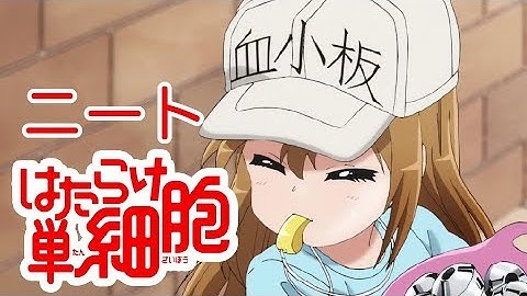 【はたらく細胞替え歌】はたらけ単細胞OP「ミッション！就・職・第・イチ」【弟の姉】