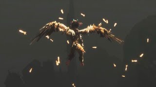 Flight of the Silverbird