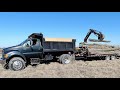 Making Firewood Logs Fast! - F750 Dump Truck & Volvo Excavator Cleaning Fence Row