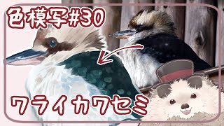 【一緒に朝活】色模写の火曜日＃３０【ゆる～くお絵描き】