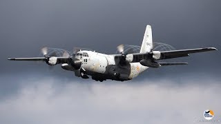 C-130H Hercules Belgian Air Force | Kleine Brogel (Ebbl) | Spottersday