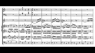 Mozart: Horn Concerto in E flat K. 447 - I. Allegro - Immerseel