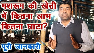मशरूम की खेती से कितना कमा सकते हैं ? खर्च और लाभ की पूरी जानकारी, Profit, Loss of  mushroom farming screenshot 4